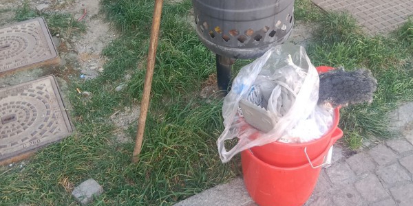 cestinogalbiate-1.jpg (146 KB)