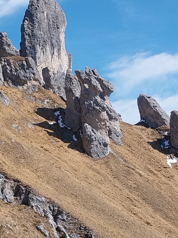 coniglie.jpg (160 KB)