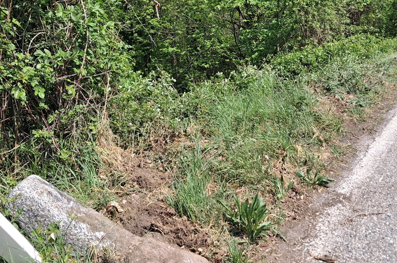 crandolaauto2.jpg (357 KB)