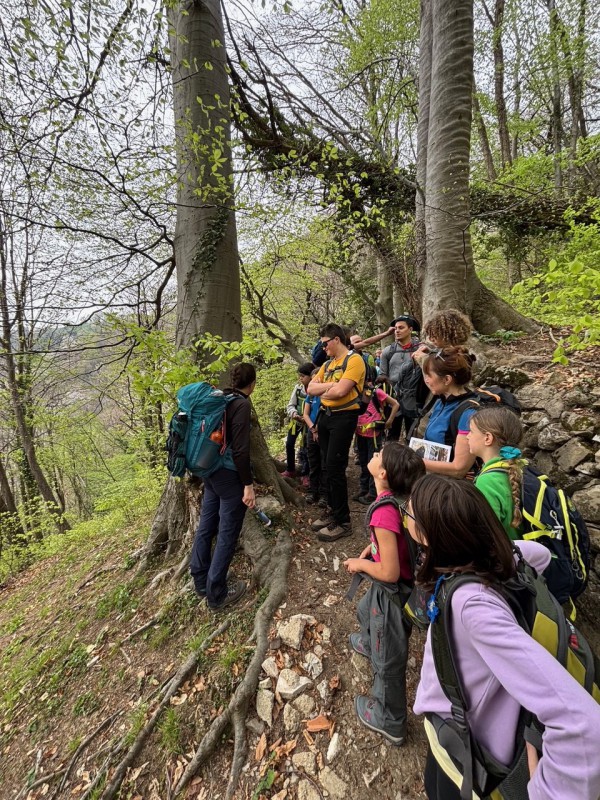 escursionismocalolzioprimo1.jpeg (230 KB)