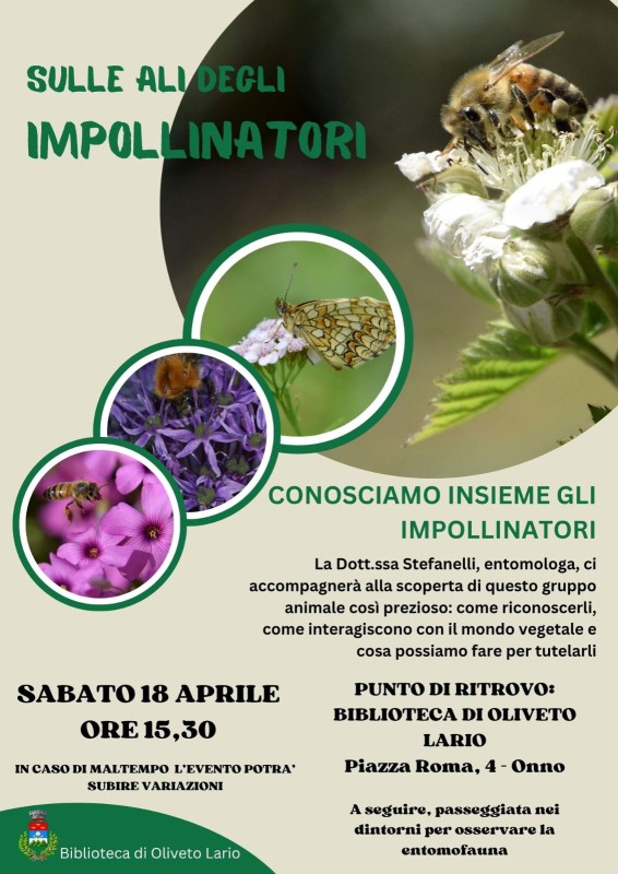 loc_2026_impoll.jpeg (107 KB)