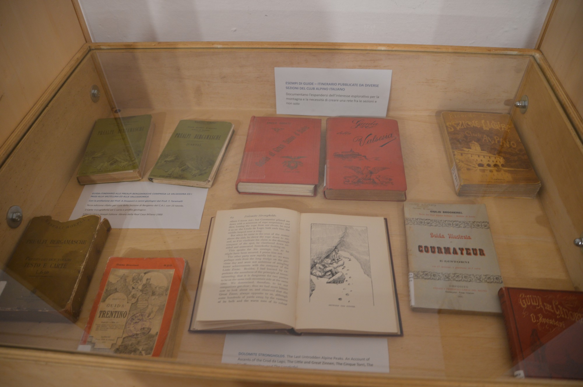 mostracai__11_.JPG (291 KB)