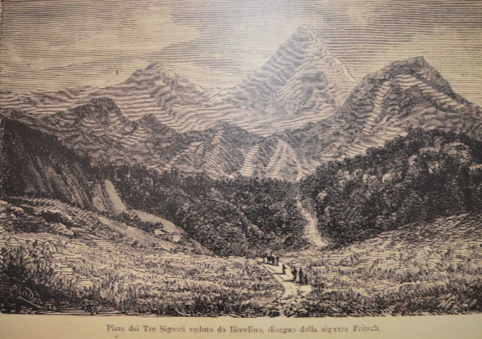 mostracai__8_.JPG (987 KB)