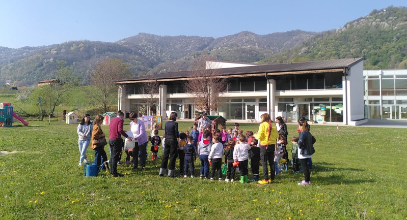 piantescuole11.jpg (276 KB)