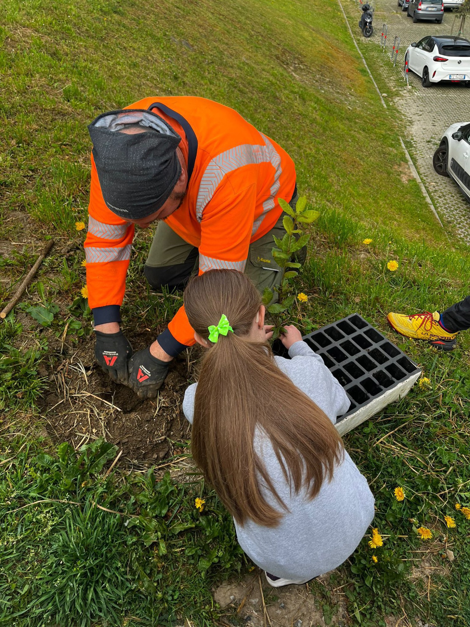 piantescuole3.jpg (958 KB)