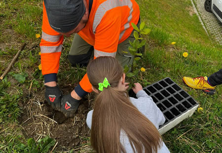 piantescuole3pr.jpg (44 KB)