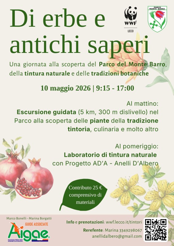 tintori26_locandina.jpg (102 KB)