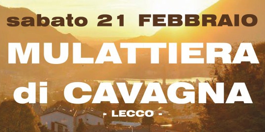 Cavagna_21_febbraiopr.jpg (96 KB)