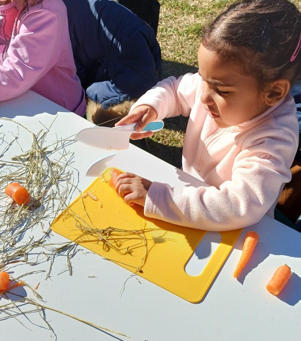 asinigenerazioni__13_.jpeg (191 KB)