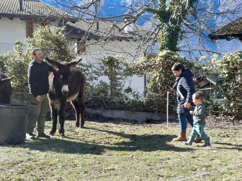 asinigenerazioni__14_.jpeg (232 KB)