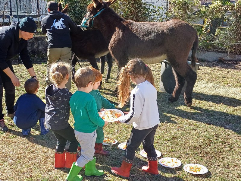 asinigenerazioni__8_.jpeg (214 KB)