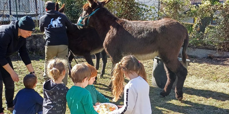 asinigenerazioni__8_pr.jpeg (221 KB)