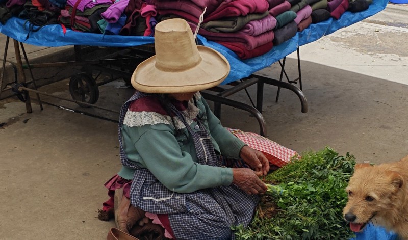 cioccolato2.jpg (108 KB)