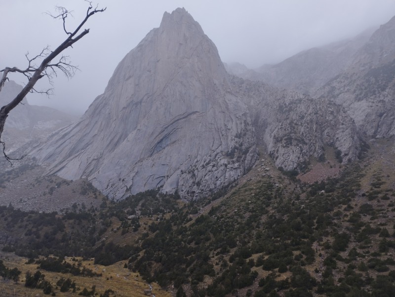 foto_Ale_Kirghizistan__3_.jfif (104 KB)