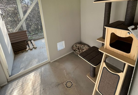 gattilepr.jpg (55 KB)