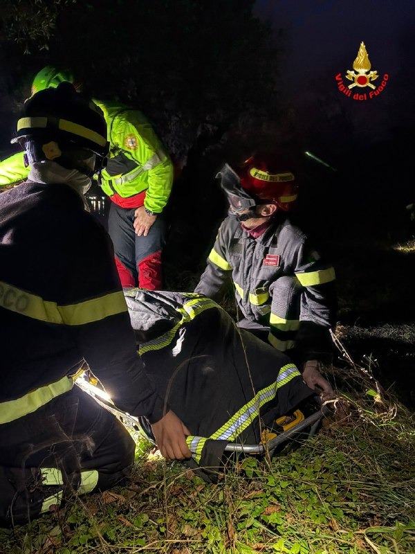 infortunioliveto1.png (800 KB)