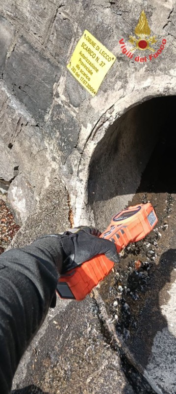 leccoinquinante__1_.jpeg (112 KB)