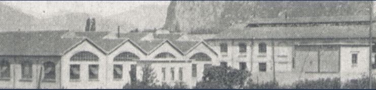 leuci_storica_retro_sched.JPG (36 KB)