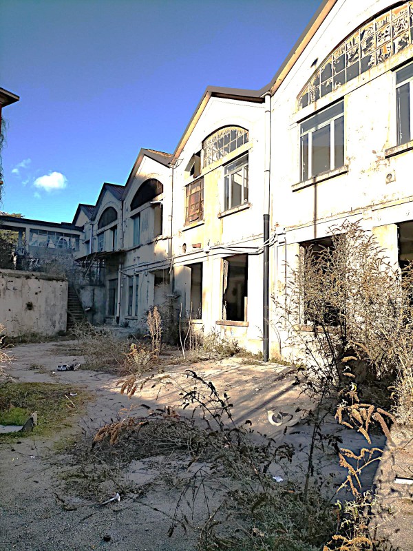 leucioggi__2_.jpg (187 KB)