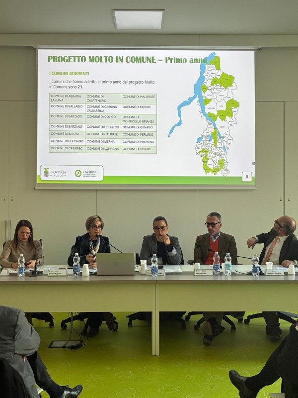 molto_in_comune__9_.jpeg (99 KB)