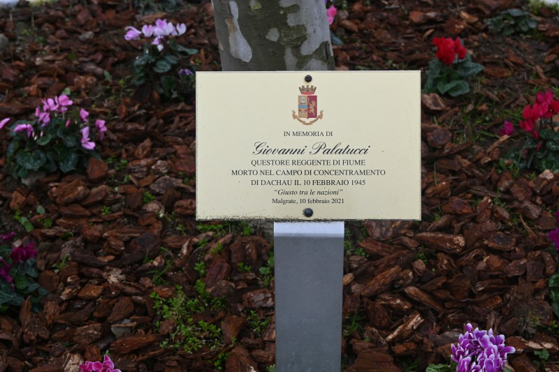 palatucci2.JPG (109 KB)