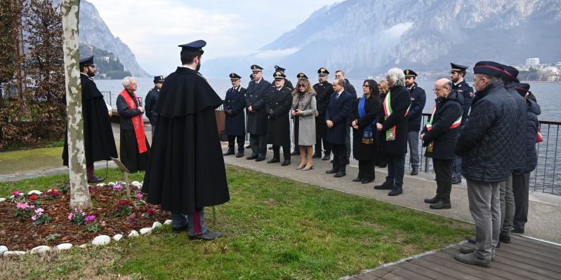 palatucci4pr.JPG (243 KB)