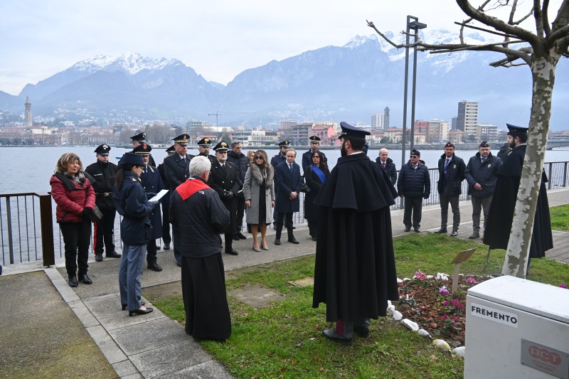 palatucci7.JPG (125 KB)