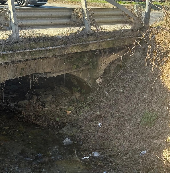 ponticello_Calolziocorte_3.jpg (201 KB)