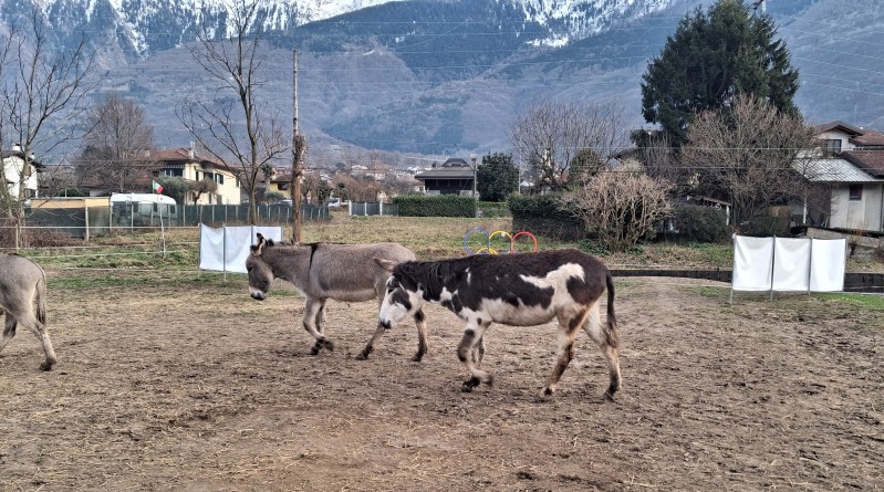 puliamoinsieme__6_.jpg (252 KB)