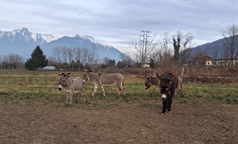 puliamoinsieme__7_.jpg (204 KB)