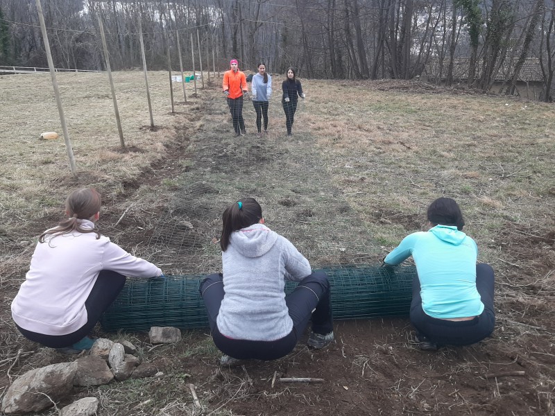 radicipolo1.jpg (180 KB)