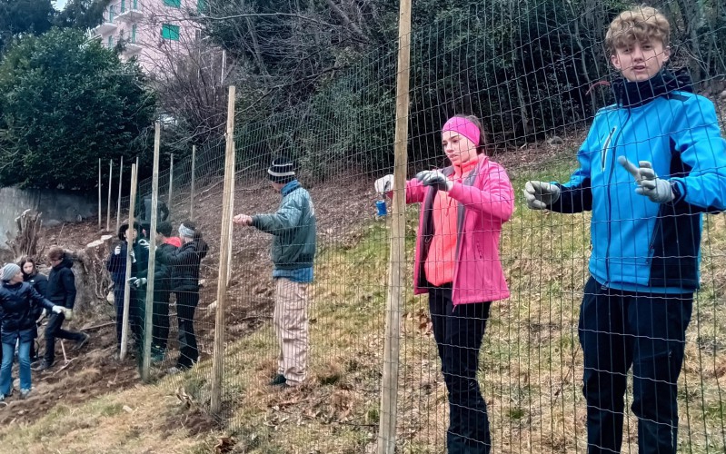 radicipolo2.jpg (296 KB)