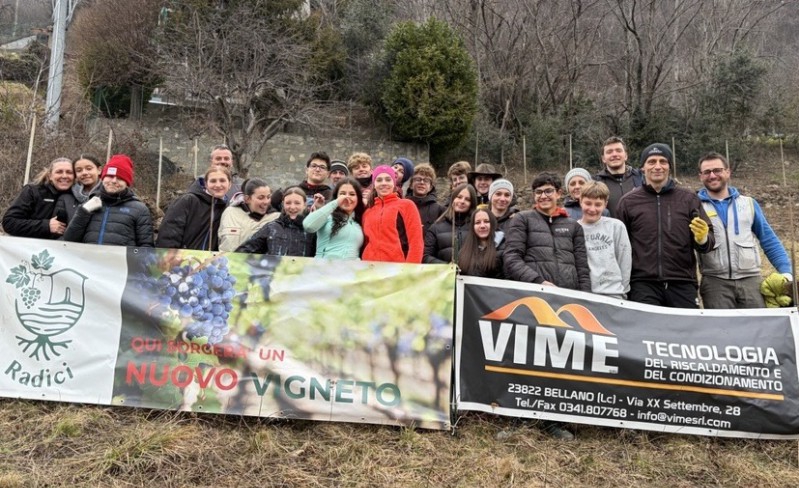 radicipolo3.jpg (228 KB)