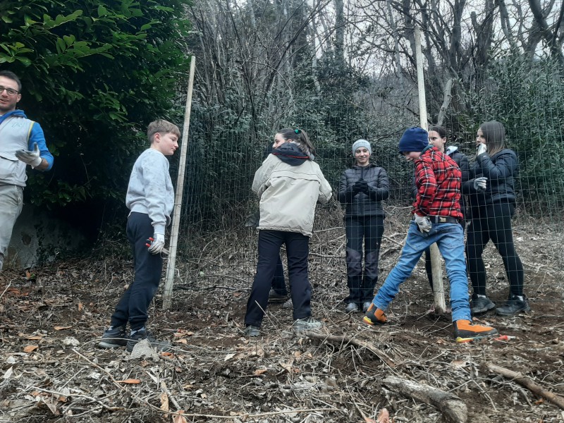 radicipolo4.jpg (212 KB)