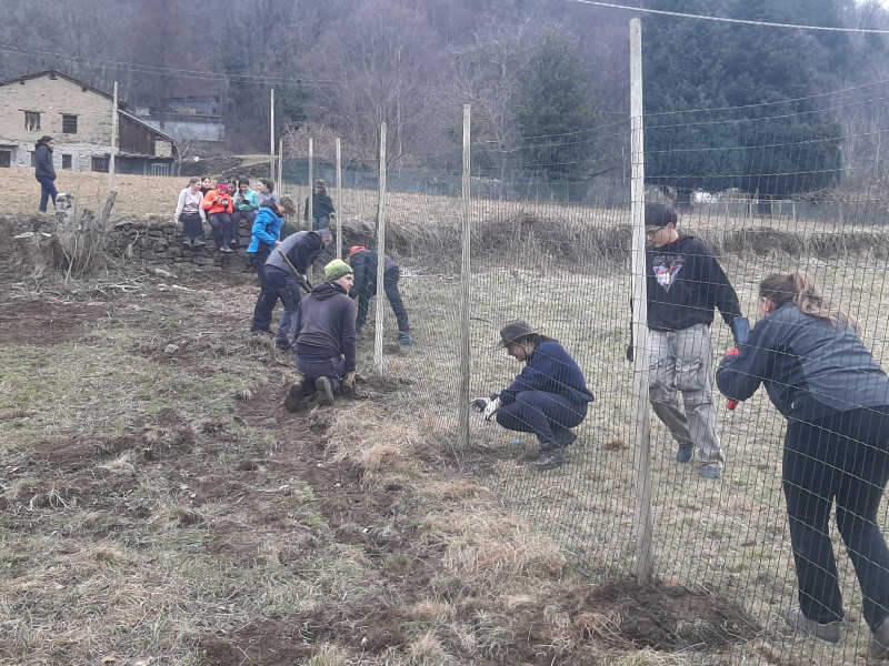 radicipolo6.jpg (191 KB)