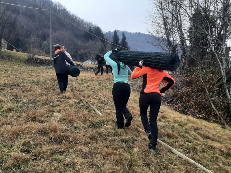 radicipolo7.jpg (193 KB)