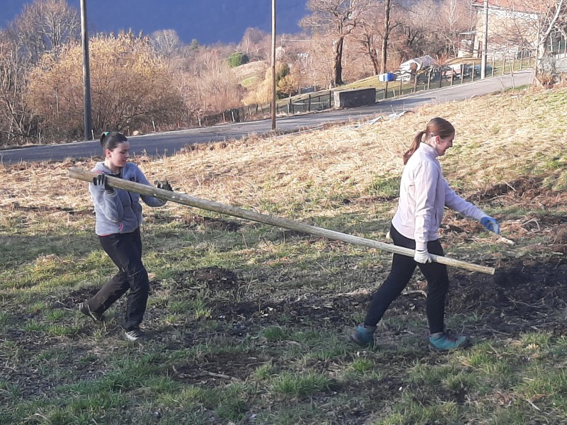 radicipolo8.jpg (203 KB)