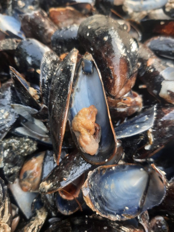 20240412_091538_resized.jpg (114 KB)