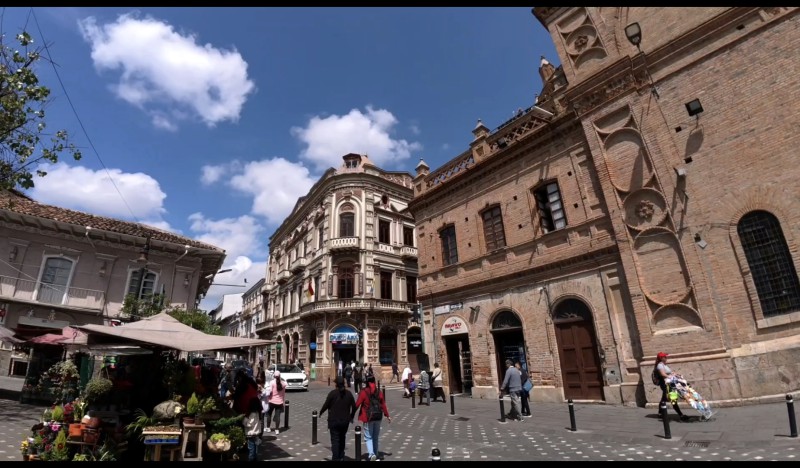 CURATRICE2.jpg (113 KB)