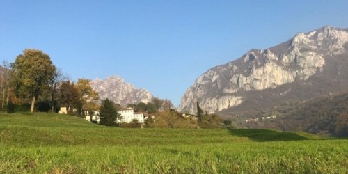 FIRME_RACCOLTE_IN_DUE_OREpr.jpg (83 KB)