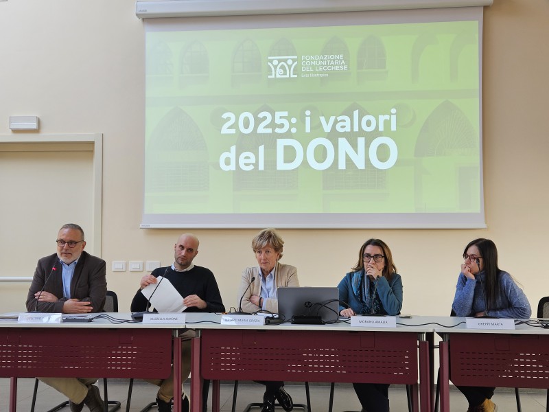Fondazione_Comunitaria_Lecchese_1.jpg (83 KB)