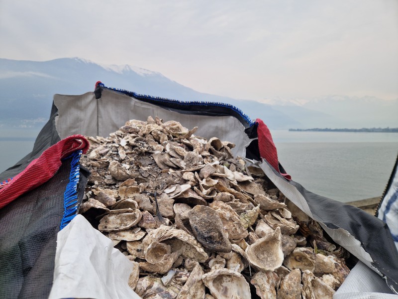 IMG-20240412-WA0013.jpg (123 KB)