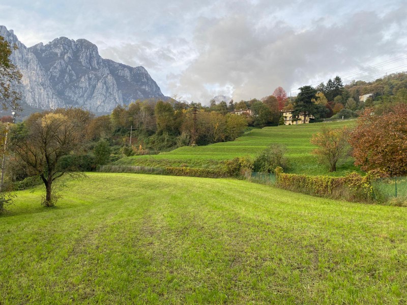 IMMAGINE_01_-_ZONA_CHE_VERRA__RESA_EDIFICABILE.jpeg (166 KB)