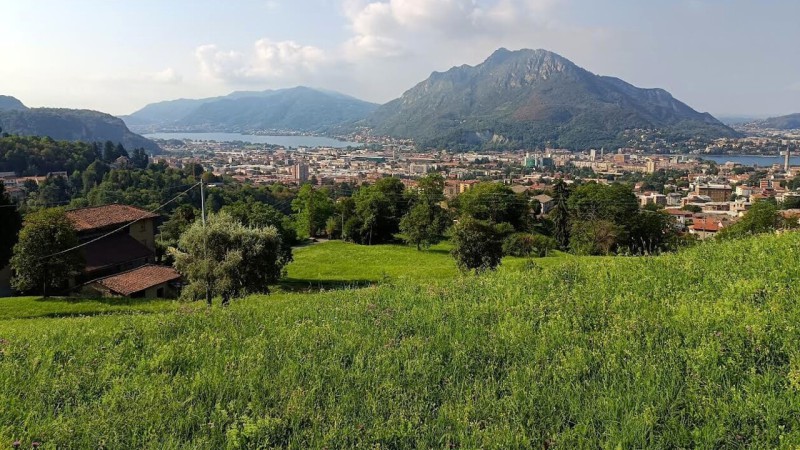 IMMAGINE_04_-_VEDUTA_GENERALE_DI_CAVAGNA_NEL_CONTESTO_CITTADINO.jpg (132 KB)