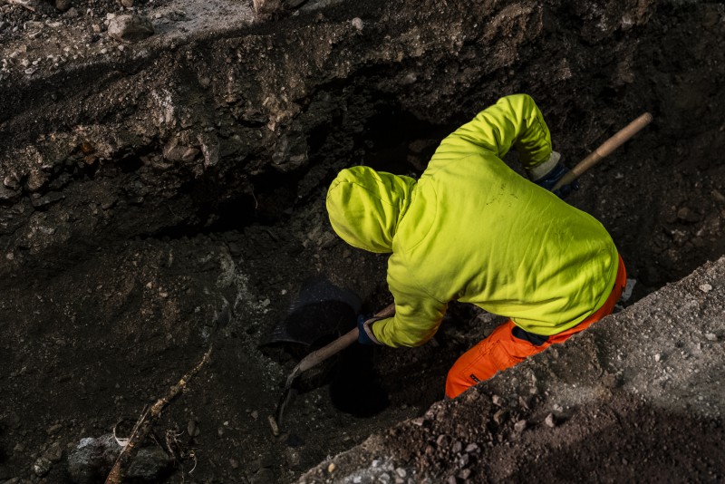 Lrh_20-11_oliveto_lario-10-DSC08906.jpg (132 KB)