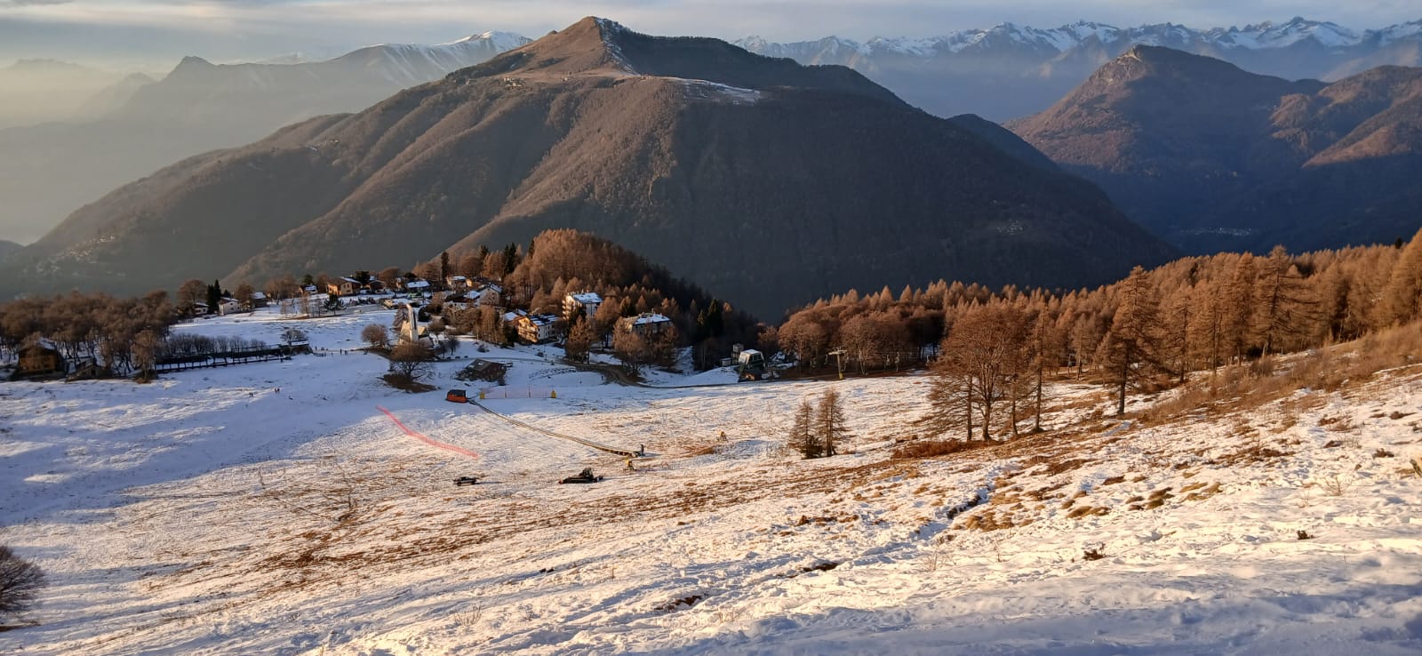 betulleneve.jpg (205 KB)