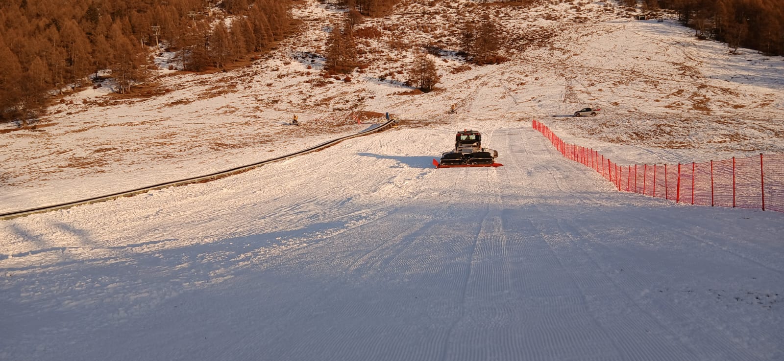 betulleneve2.jpg (239 KB)