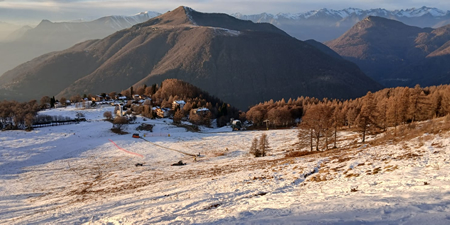 betullenevepr.jpg (123 KB)