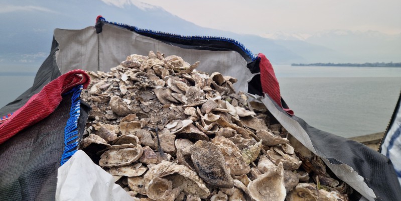 biofiltripr.jpg (219 KB)