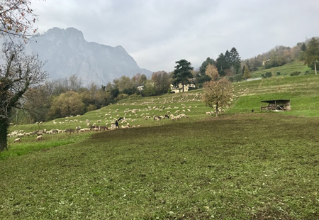 cavagnapr.jpg (136 KB)